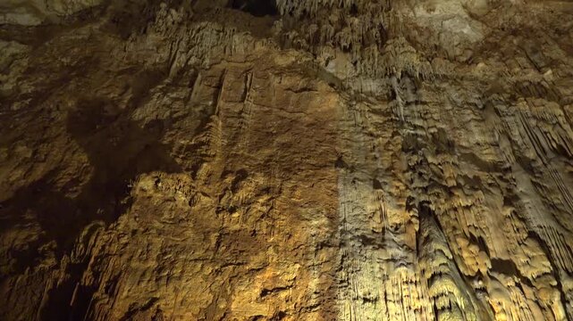 Mossy cave wall shows yellow green mineral layers calcium carbonate bands in rocky texture.