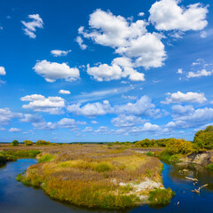 calm river with forest on the coast under a  blue cloudy sky © Yuriy Kulik