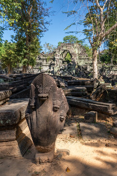 Prasat Beng Mealea, khmer temple ruins in the jungle, Angkor, Cambodia