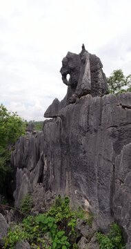 Camera tilt up shows unique elephant-shaped rock on top of monolith at Shilin Stone Forest. Wide-angle vertical shot reveals iconic zoomorphic pareidolia and natural stone sculpture perched atop