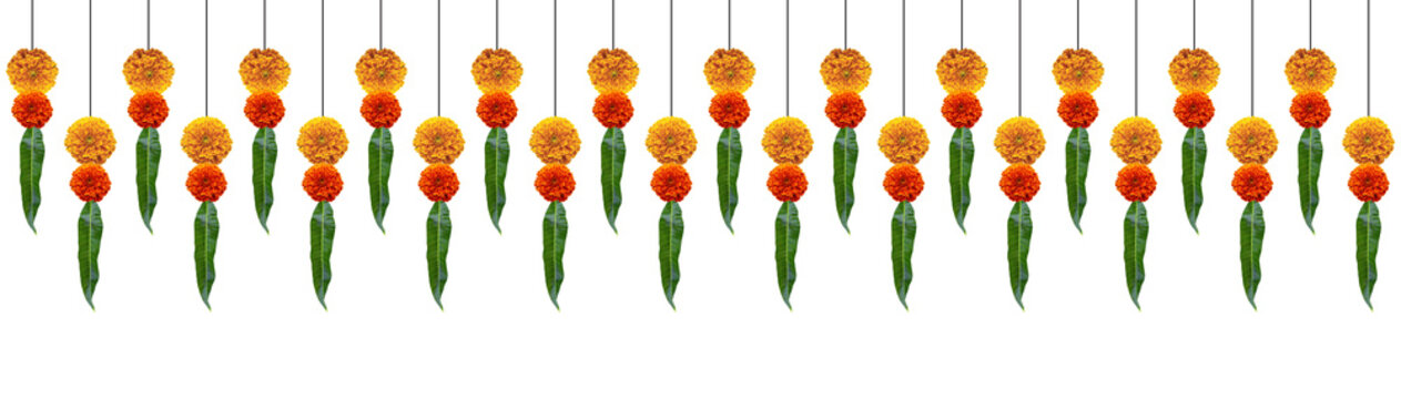 Red and orange marigold flowers with leafs