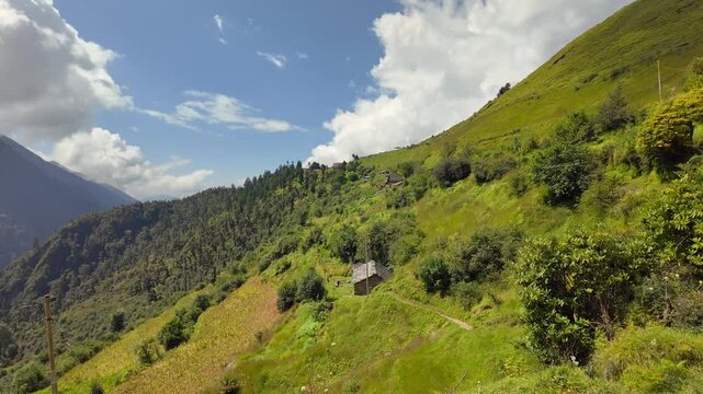 Lush Green Himalayan Trail at Ranakdhar Beyond Wan Village Toward Bedni Bugyal, Uttarakhand