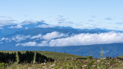 Obraz premium 霧ヶ峰の風景