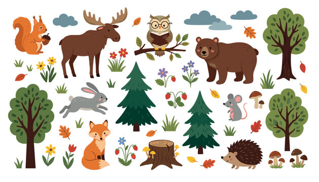 Woodland animals and forest elements collection. Bear, fox, squirrel, moose, owl, rabbit, hedgehog, mouse, trees, pine, mushrooms, berries and autumn leaves.