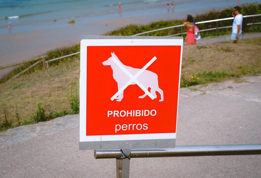 No Dogs Sign Near a Beach