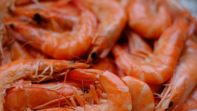 Close Up of Cooked Shrimp