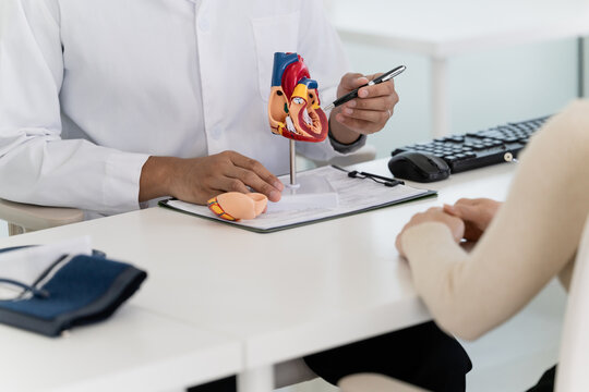 Cardiologist doctor showing anatomical of human heart model to patient