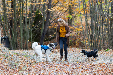 Fototapeta premium happy woman with dogs playing outdoors in autumn forest