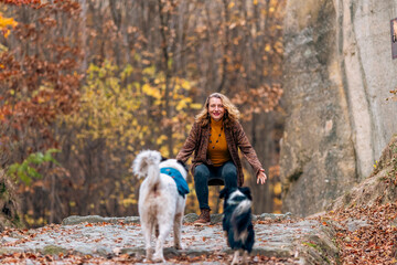 Fototapeta premium happy woman with dogs playing outdoors in autumn forest