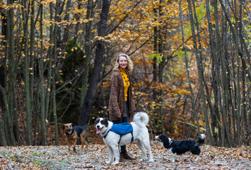 Fototapeta premium happy woman with dogs playing outdoors in autumn forest