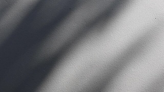 Abstract natural tree branch leaves shadow on white wall background