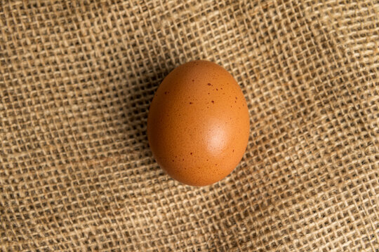 Brown chicken egg on textured burlap background
