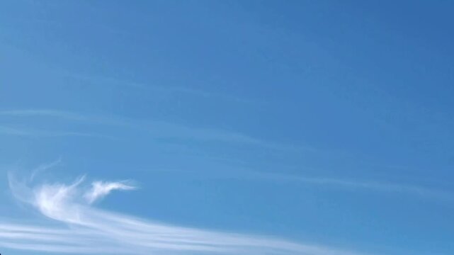 Curious timid cirrus clouds in the morning