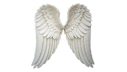 Pair of white feather angel wings decoration on transparent background © Sophia