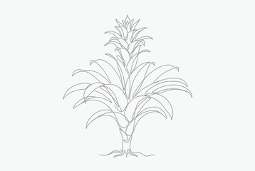Obraz premium Continuous line drawing of bromeliad tropical plant.