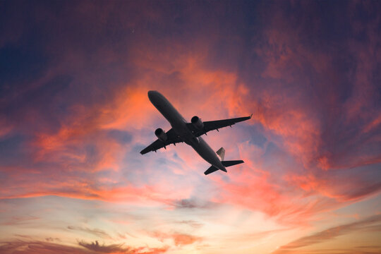 Low angle view of modern commercial airliner taking off or approaching landing in sunset sky. Air travel agency concept. Aviation. Abroad travel. Copy space, blank. No people, nobody. Horizontal photo