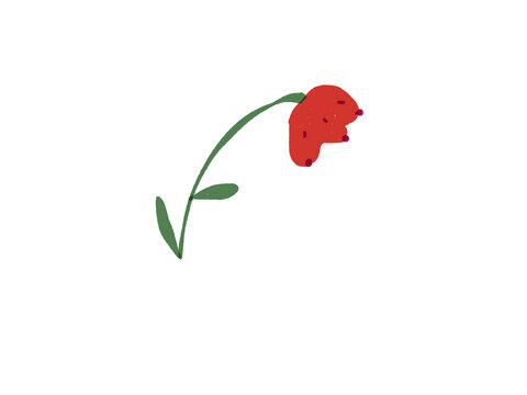 Red flower with curved green stem, leaf and drooping bloom in a botanical style