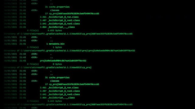 Computer software development programming command line terminal directory display