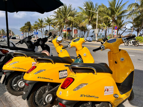 A row of yellow scooters parked along a palm tree-lined street. The scene features sunny weather and a clear blue sky, emphasizing urban mobility and summertime vibes.