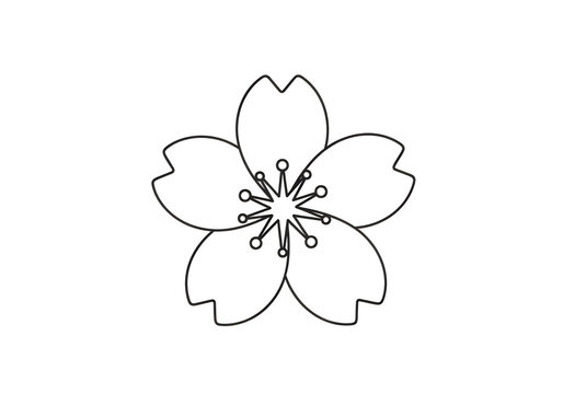 Simple line drawing of a cherry blossom flower