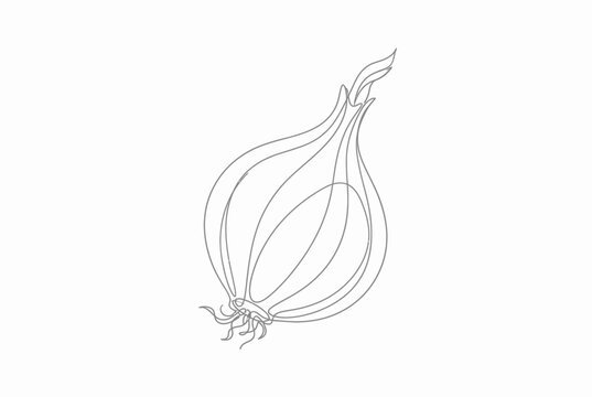 Minimalist single line drawing of a fresh onion bulb.