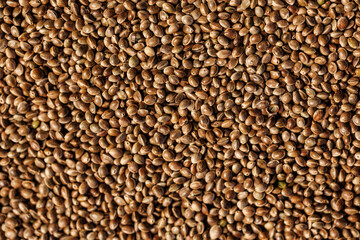 Obraz premium Close-up overhead view of a dense layer of dried hemp seeds, showing varied tan and brown tones, natural seed patterns, and detailed organic texture