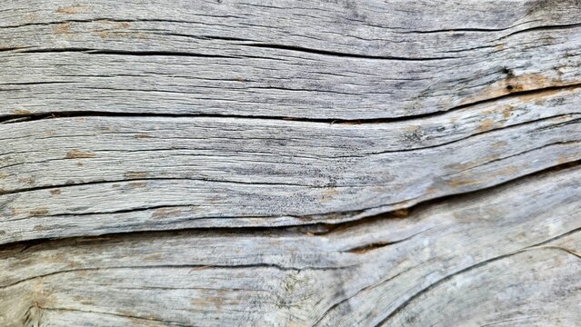 Close-up of an old weathered tree trunk marked by numerous parallel grooves and pronounced natural textures. Aged wood surface reveals intricate patterns created by weathering and time.