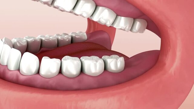 Close up of human teeth showing proper bite alignment in a dental 3D medical animation