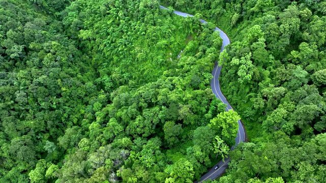 Aerial Forest Road Through Tropical Landscape for ESG Sustainability and Net Zero Strategy