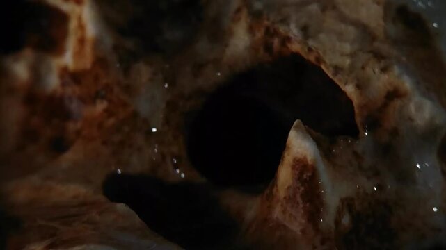 close-up rain falling on weathered skull fossil texture showing dripping raindrops Horizontal Video