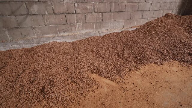 Animal feed pellets stored inside a barn for livestock nutrition and farming