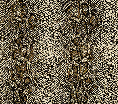 Seamless python snake skin pattern texture background in brown and black
