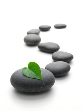 Zen stones arrangement with a single green leaf on white background