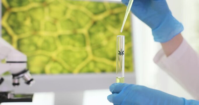 Lab worker uses pipette to transfer small quantity of hemp oil into test tube. Technician prepares botanical sample for analysis. Slow motion