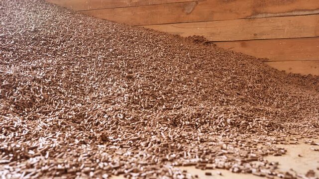 Young child playing with animal feed pellets on a farm, learning about agriculture