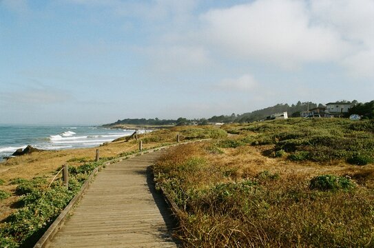Film photography of a wooden boardwalk along the scenic ocean coast