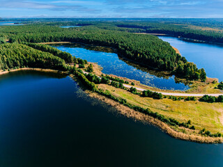 Obraz premium Aerial view of curving lakeside forest with tall trees and clear blue water in summer