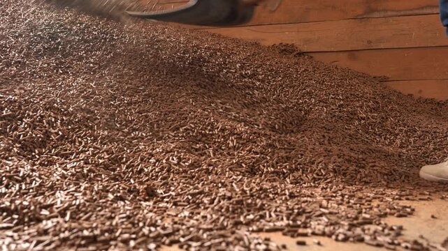 Shoveling wood pellets, used as animal feed for cattle, from a large storage pile