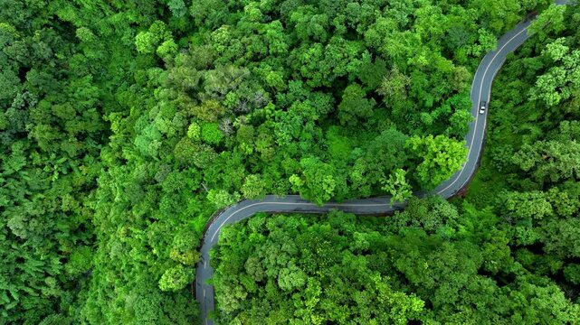 Aerial view of a winding forest road surrounded by dense tropical trees, representing ESG leadership, Sustainability Report, Annual Report, Green Finance, Net Zero Strategy, Carbon Credit initiatives