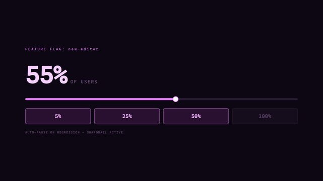 Feature Rollout Progress Bar Displaying Percentage of Active Users