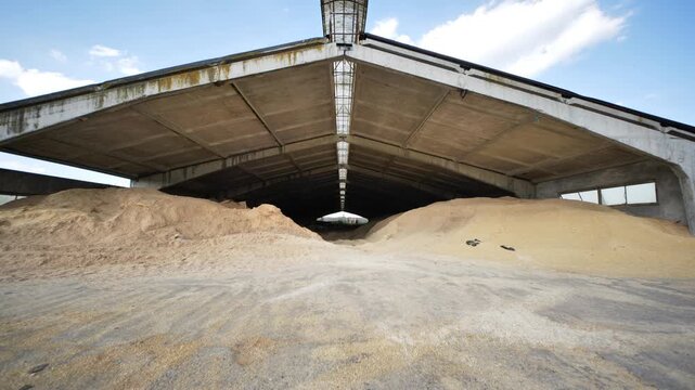 Open industrial barn interior full of dry grain, preparing feed for farm animals