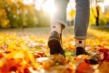 Fototapeta premium Сlose-up shot shows feet in hiking boots walking along forest path covered in fallen orange leaves. Hiker's feet walking through autumn forest at sunset. Concept of seasonality, footsteps.