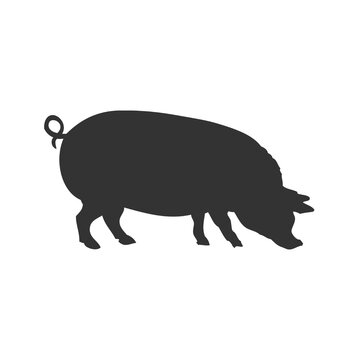Dark charcoal pig silhouette standing swine hog farm animal isolated icon illustration