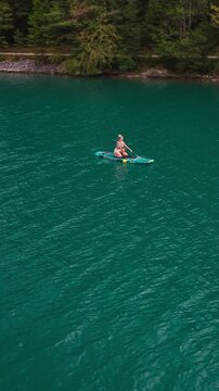 Vertical Aerial Orbit Woman in Swimsuit Paddle Boarding with Small Dogs on Achensee Lake Austria