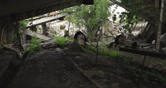 Overgrown trees thrive inside a collapsed ruined concrete building.