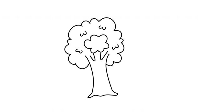Tree Outline coloring page