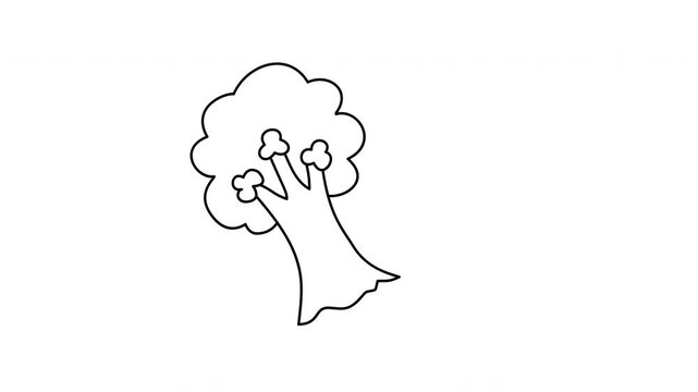 tree outline coloring