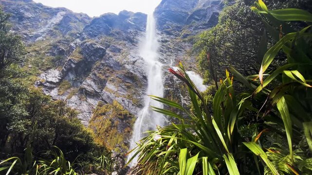 Earland Falls drops down a mossy rock face on the Routeburn Track, New Zealand, spray drifting across the cliff and flax leaves crowding the foreground. Wide shot