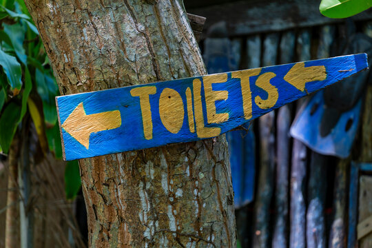 Handmade wooden toilets sign on tree trunk, closeup. Rustic hand-painted blue wooden sign with gold text and arrows pointing to toilets attached to tree trunk at an outdoor location