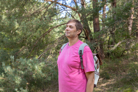 Adult man in pink T-shirt with backpack observing nature in pine forest on sunny day